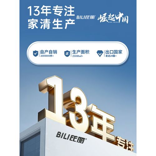 13年匠心深耕，平板拖把工厂车间专用大型商用保洁解决方案